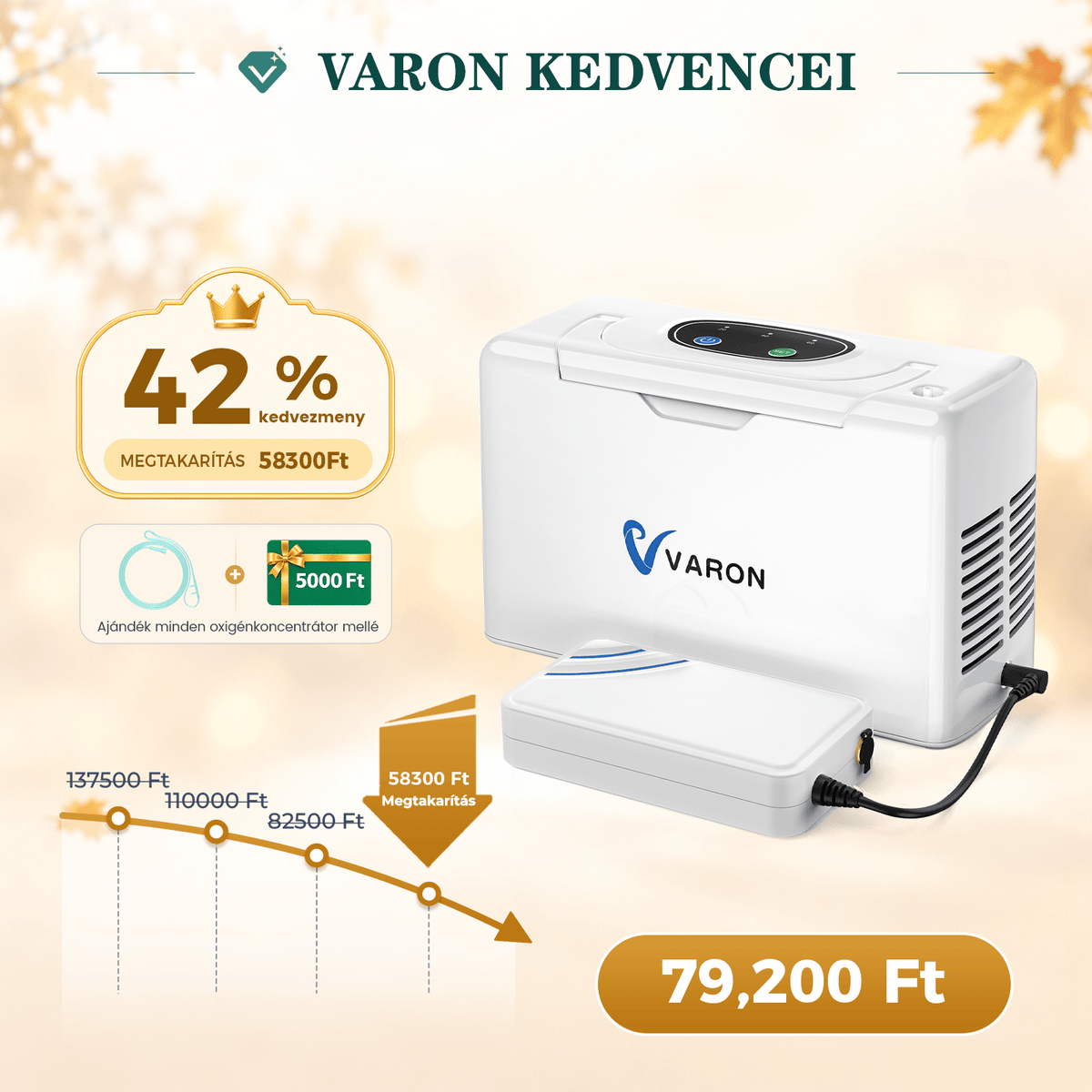 VARON VL-2 Light 3L / perc folyamatos konnyu oxigen koncentrator, CE-jóváhagyás